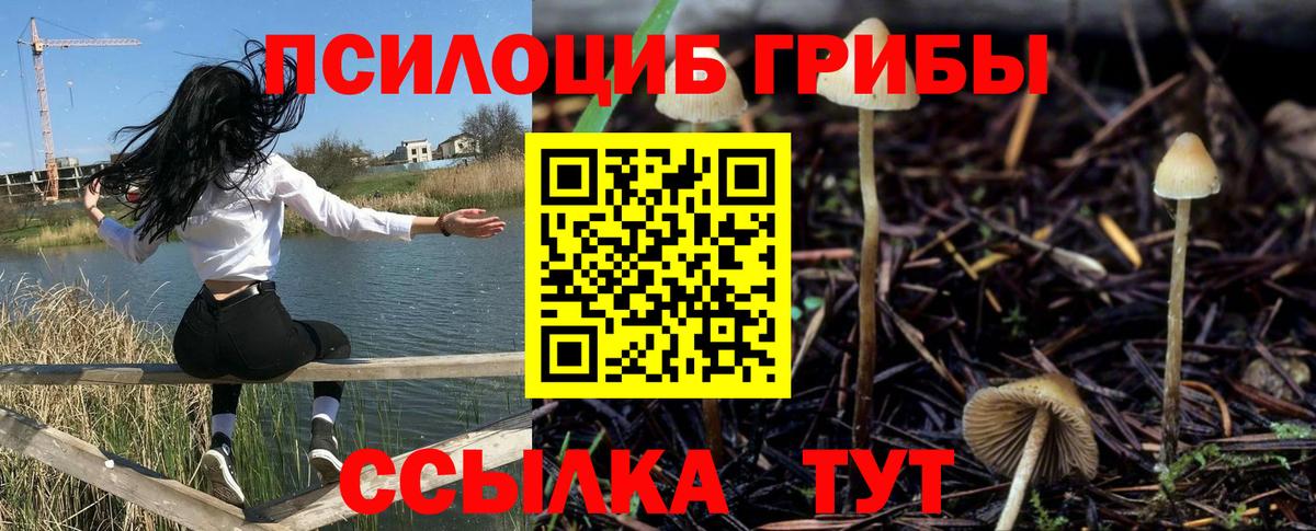 Псилоцибиновые грибы мухоморы  Вход с VPN  цены наркотик  Буйнакск 